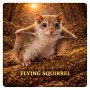 Fridge Magnet :Flying Squirrel