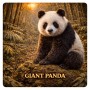 Fridge Magnet :Giant Panda
