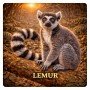 Fridge Magnet :Lemur
