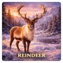 Fridge Magnet :Reindeer