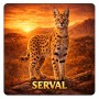 Fridge Magnet :Servel