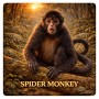 Fridge Magnet :Spider Monkey