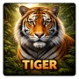 Fridge Magnet :Tiger Fridge Magnet