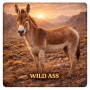 Fridge Magnet :Wild ass