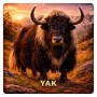 Fridge Magnet :Yak
