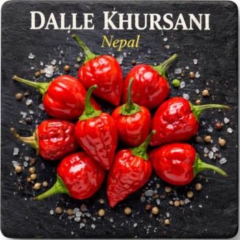 Fridge Magnet :Dalle Khursani