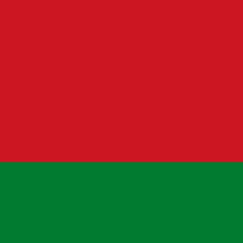 Fridge Magnet :Flag of Belarus