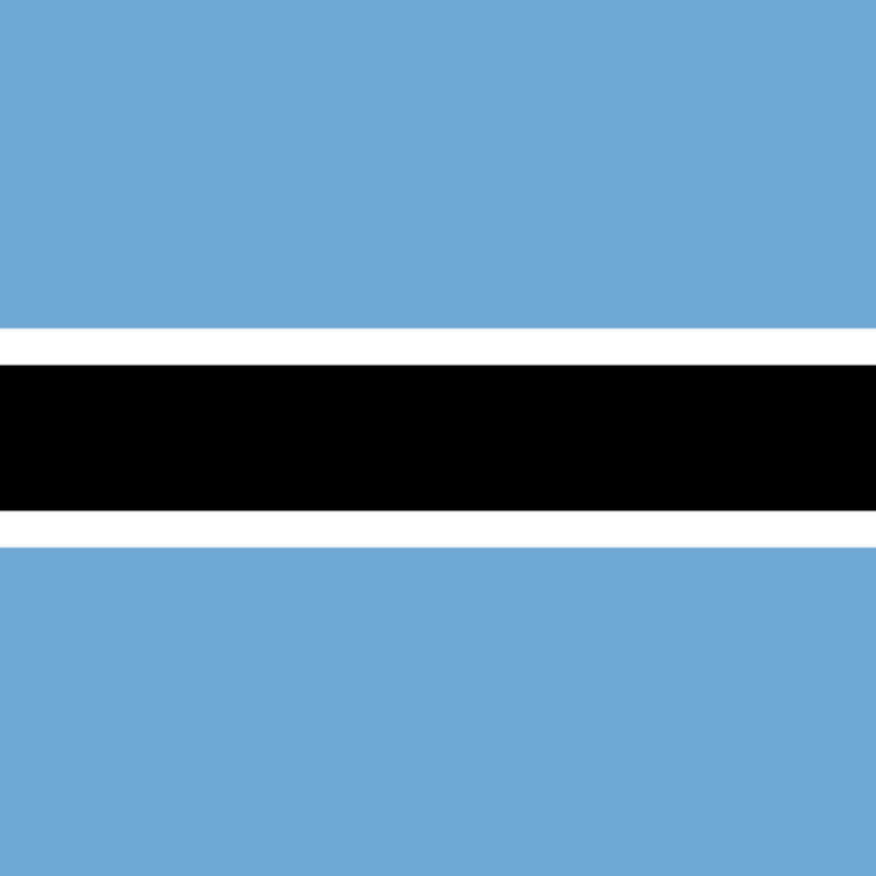 Fridge Magnet :Flag of Botswana