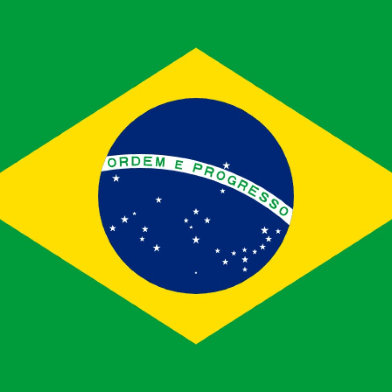 Fridge Magnet :Flag of Brazil