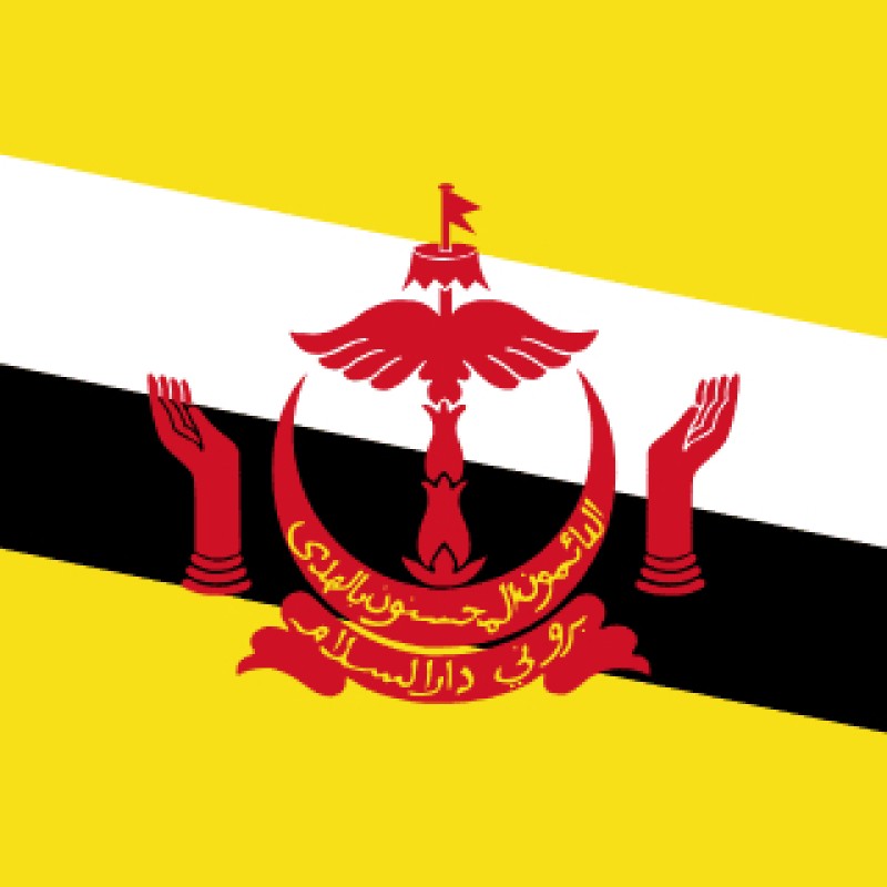 Fridge Magnet :Flag of Brunei