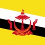 Fridge Magnet :Flag of Brunei
