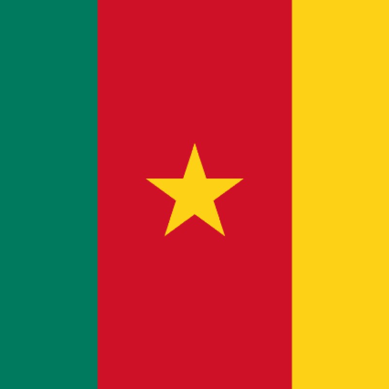 Fridge Magnet :Flag of Cameroon
