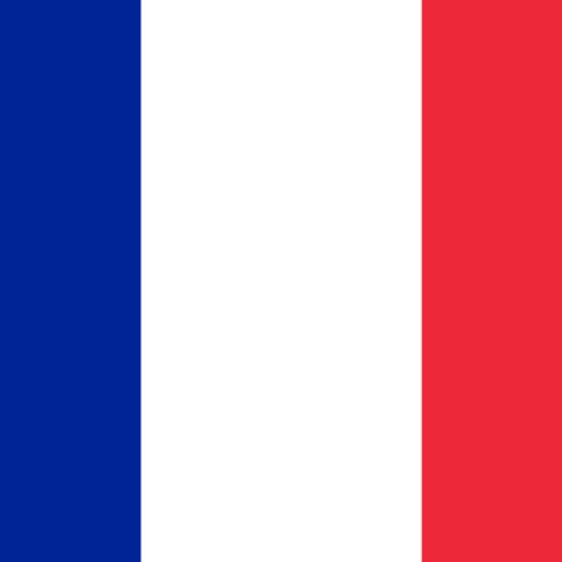Fridge Magnet :Flag of France