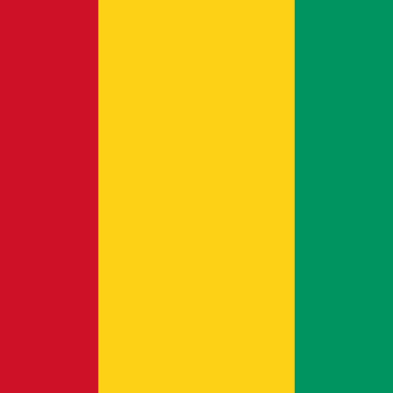 Fridge Magnet :Flag of Guinea