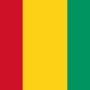 Fridge Magnet :Flag of Guinea