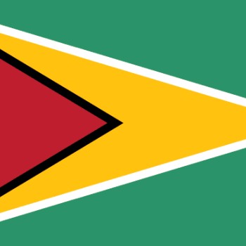Fridge Magnet :Flag of Guyana
