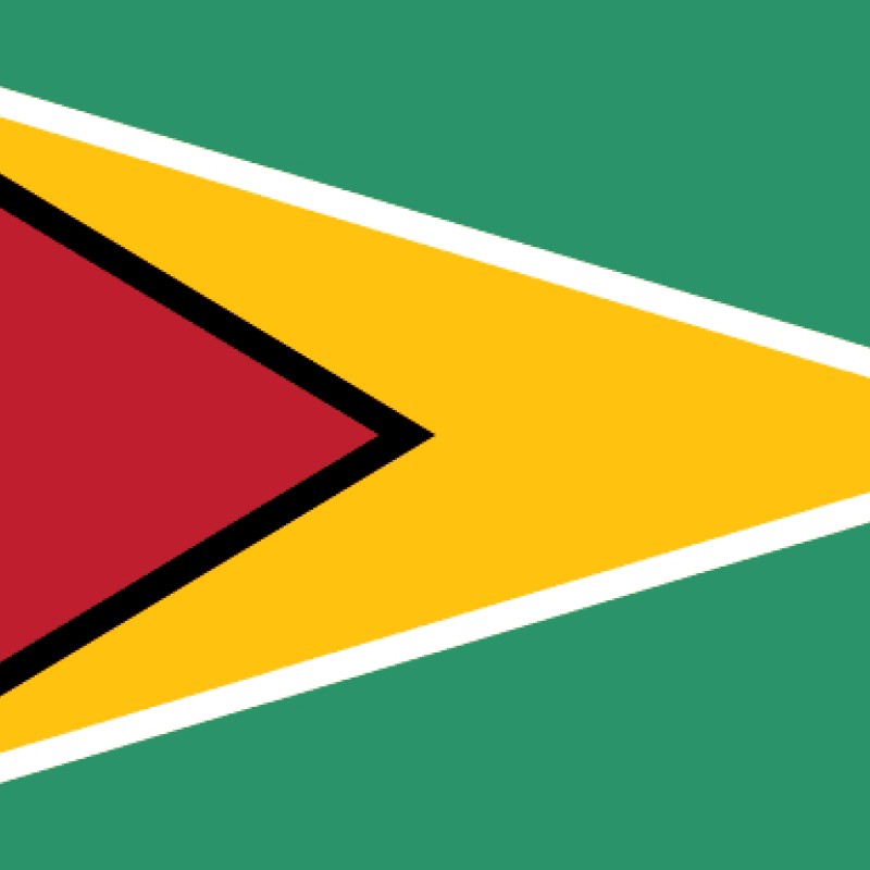 Fridge Magnet :Flag of Guyana