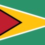 Fridge Magnet :Flag of Guyana