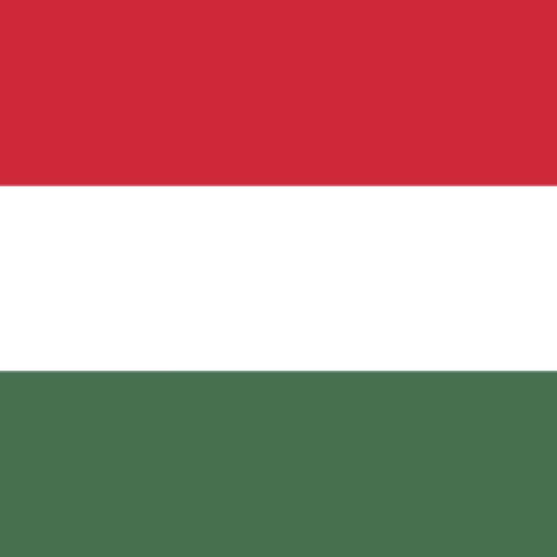 Fridge Magnet :Flag of Hungary