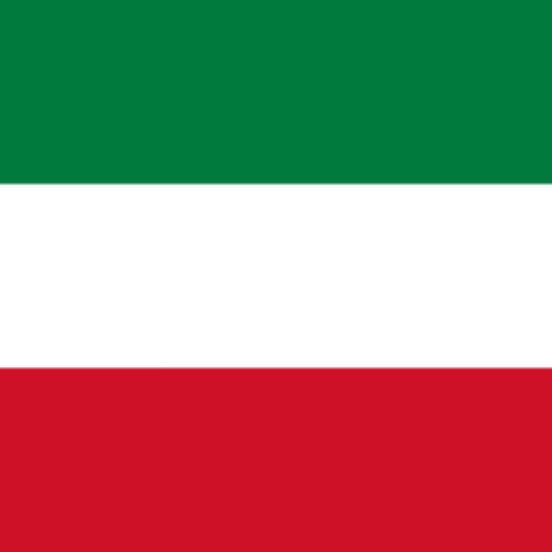 Fridge Magnet :Flag of Kuwait