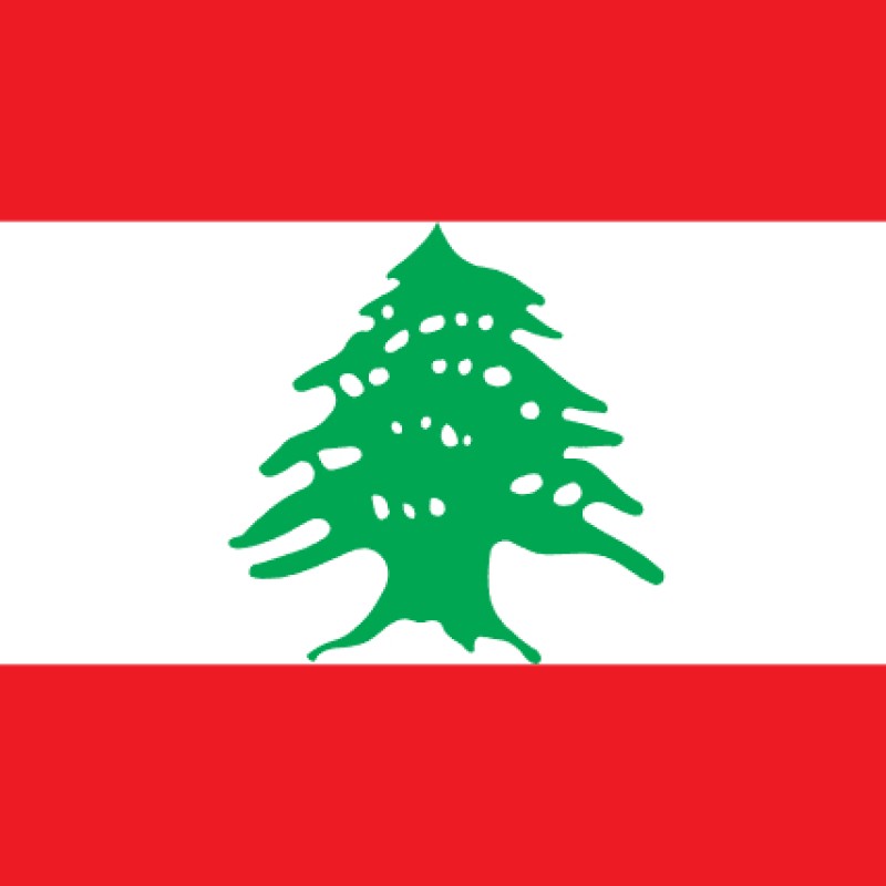 Fridge Magnet :Flag of Lebanon