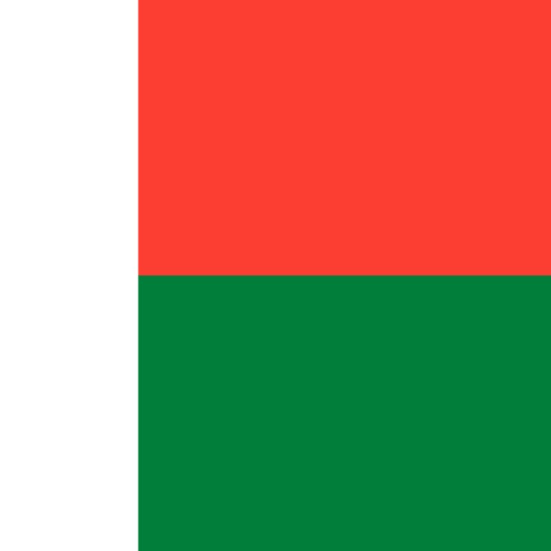 Fridge Magnet :Flag of Madagascar