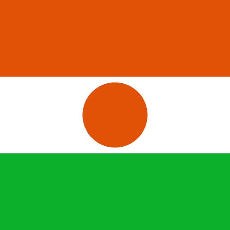 Fridge Magnet :Flag of Niger