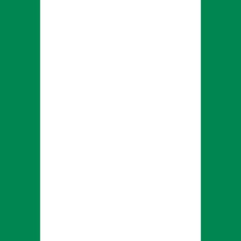 Fridge Magnet :Flag of Nigeria