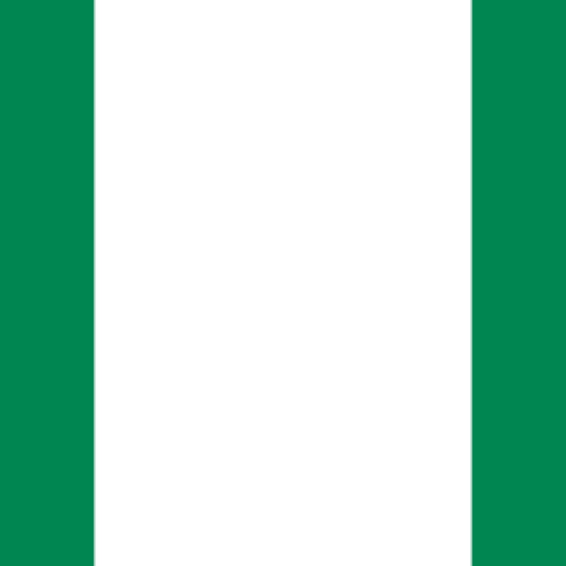 Fridge Magnet :Flag of Nigeria