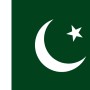 Fridge Magnet :Flag of Pakistan
