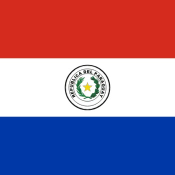 Fridge Magnet :Flag of Paraguay