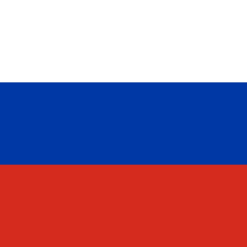 Fridge Magnet :Flag of Russia