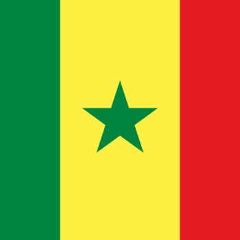 Fridge Magnet :Flag of Senegal