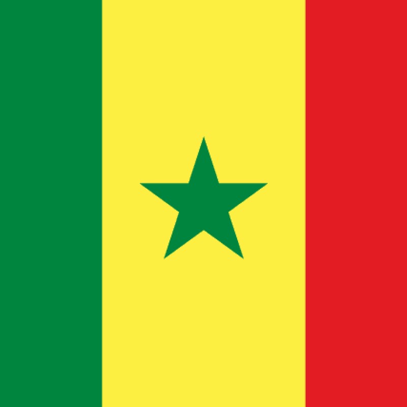 Fridge Magnet :Flag of Senegal