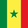 Fridge Magnet :Flag of Senegal