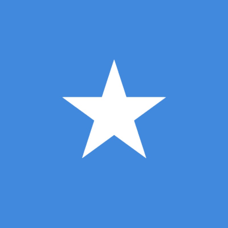 Fridge Magnet :Flag of Somalia