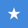 Fridge Magnet :Flag of Somalia