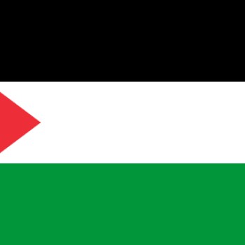 Fridge Magnet :Flag of Palestine