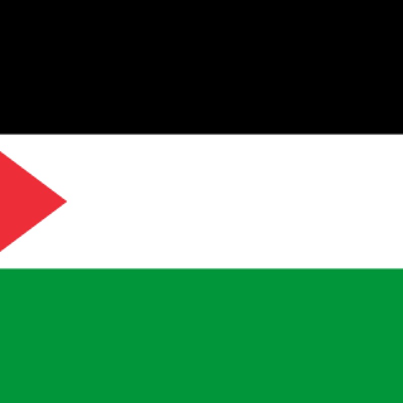 Fridge Magnet :Flag of Palestine