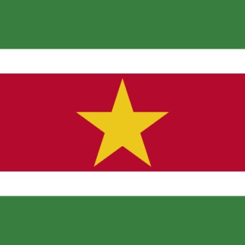 Fridge Magnet :Flag of Suriname
