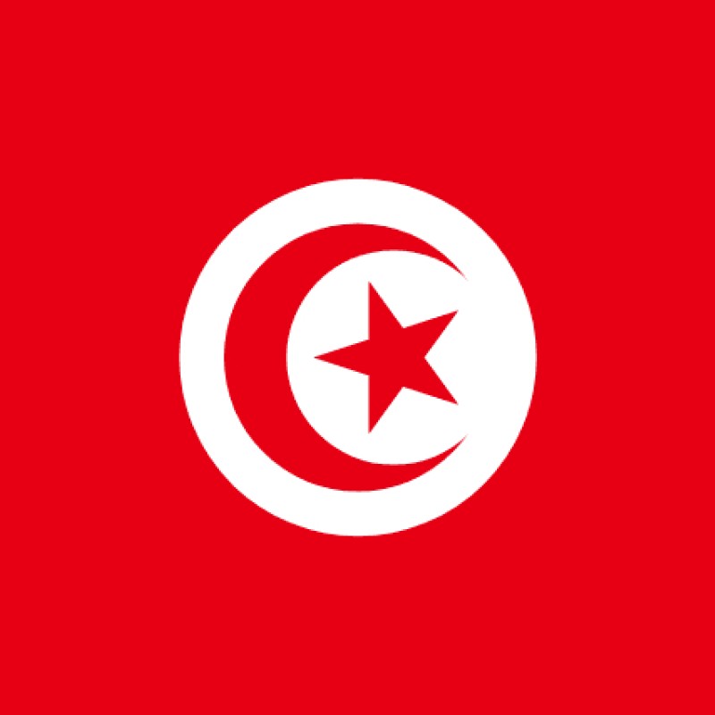 Fridge Magnet :Flag of Tunisia