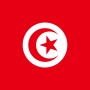 Fridge Magnet :Flag of Tunisia