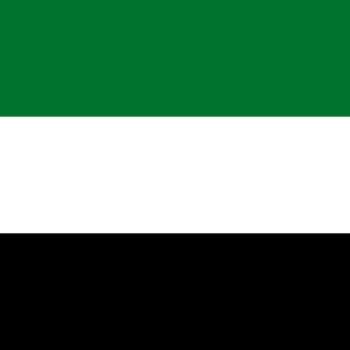 Fridge Magnet :Flag of United Arab Emirates