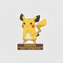 Fridge Magnet :Raichu