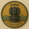 Fridge Magnet :Trimbakeshwar Jyotirlinga Temple Fridge Magnets